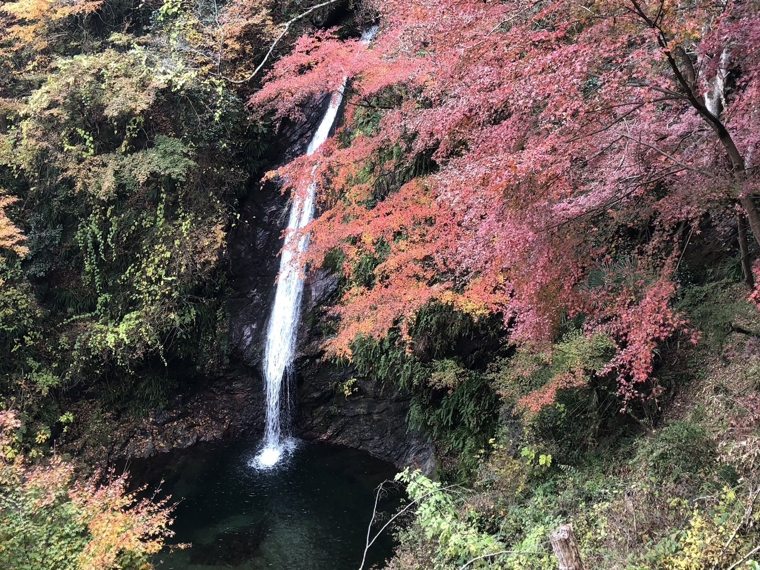 秩父華厳の滝と紅葉のツーショット