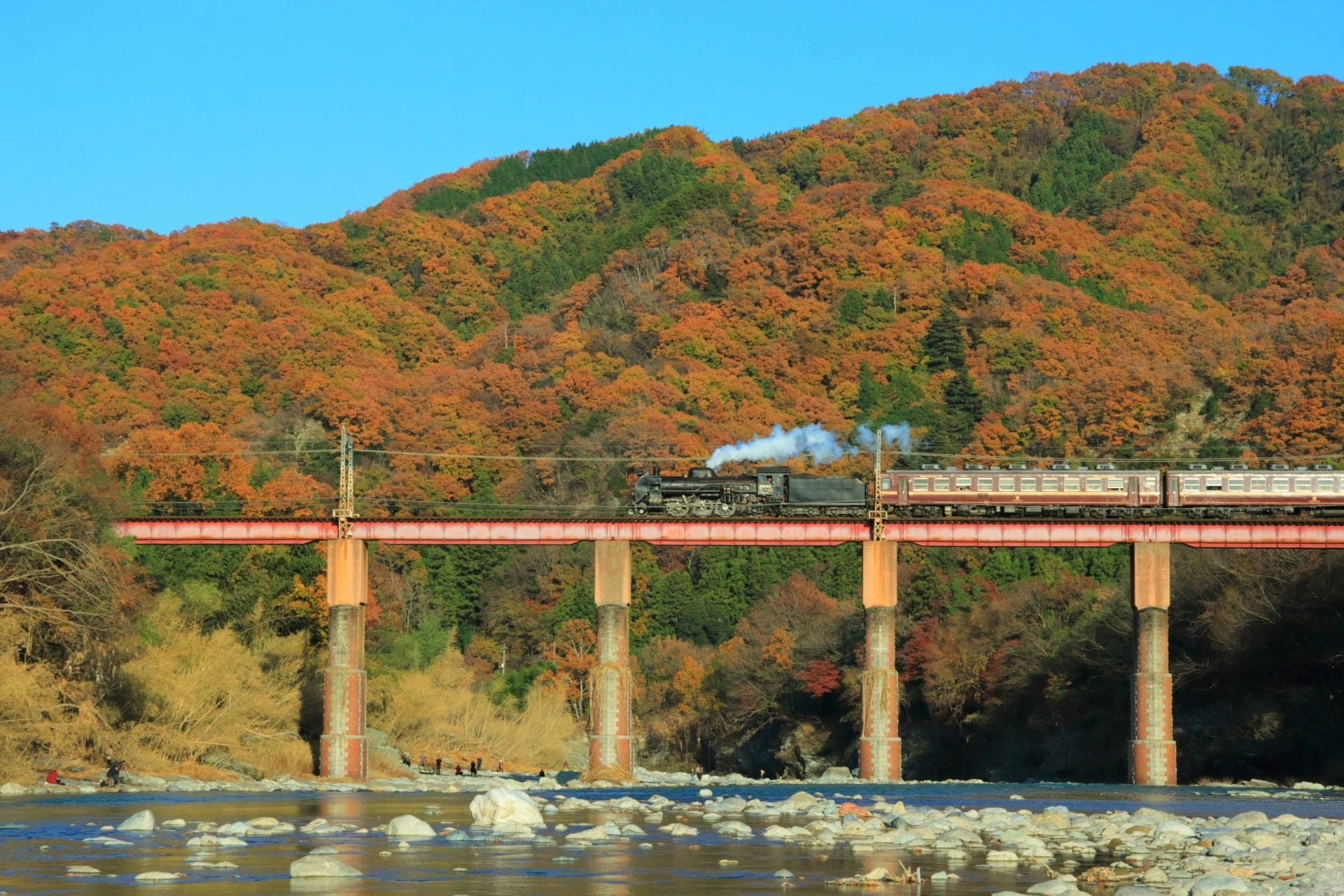 長瀞渓谷の紅葉と機関車